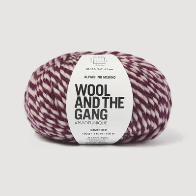 Alpachino Merino Twist - Image 5