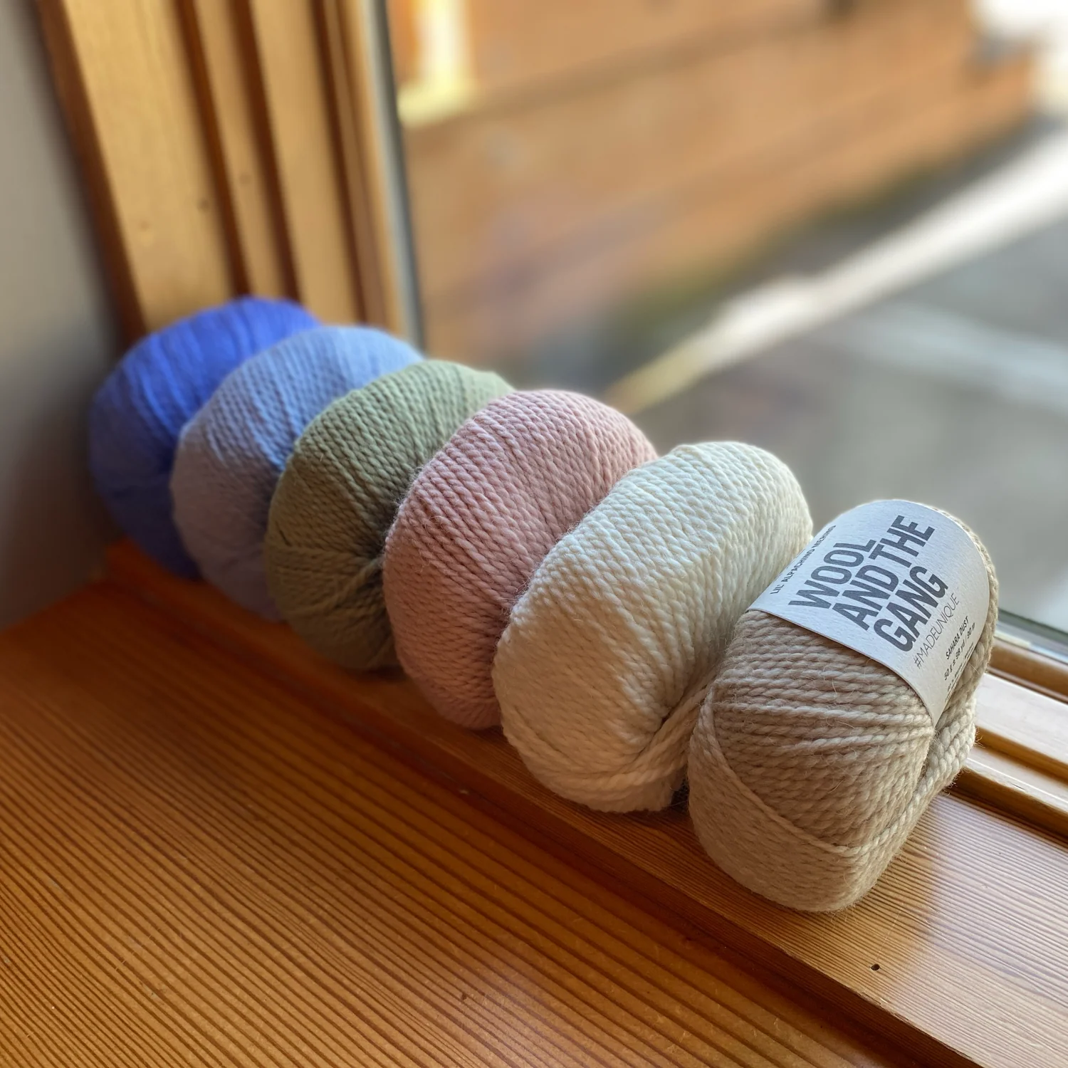 Lil' Alpachino Merino