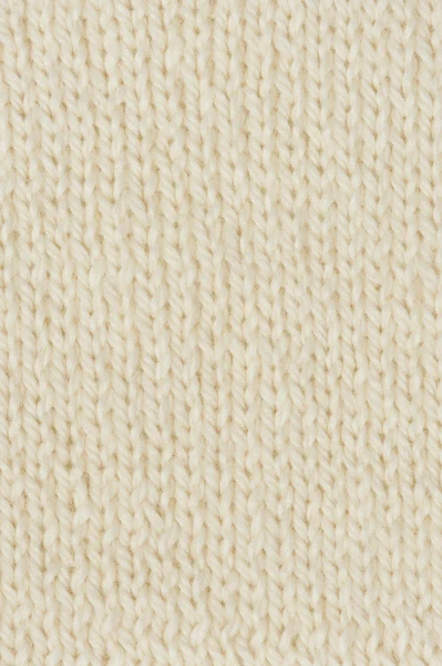 Lil' Alpachino Merino - Image 3