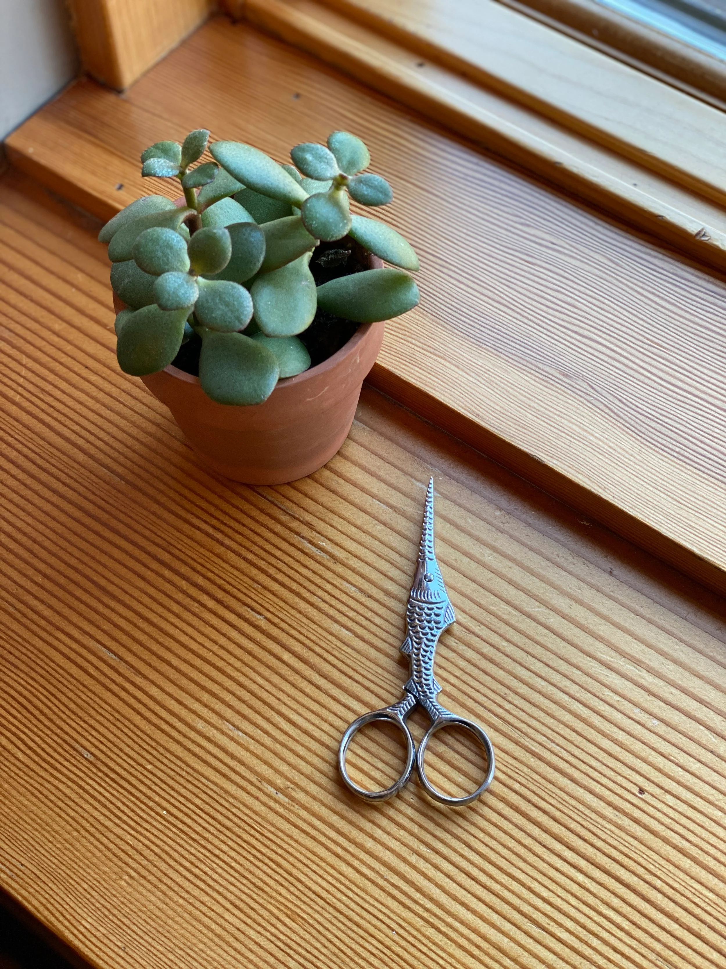 Scissors - Image 11