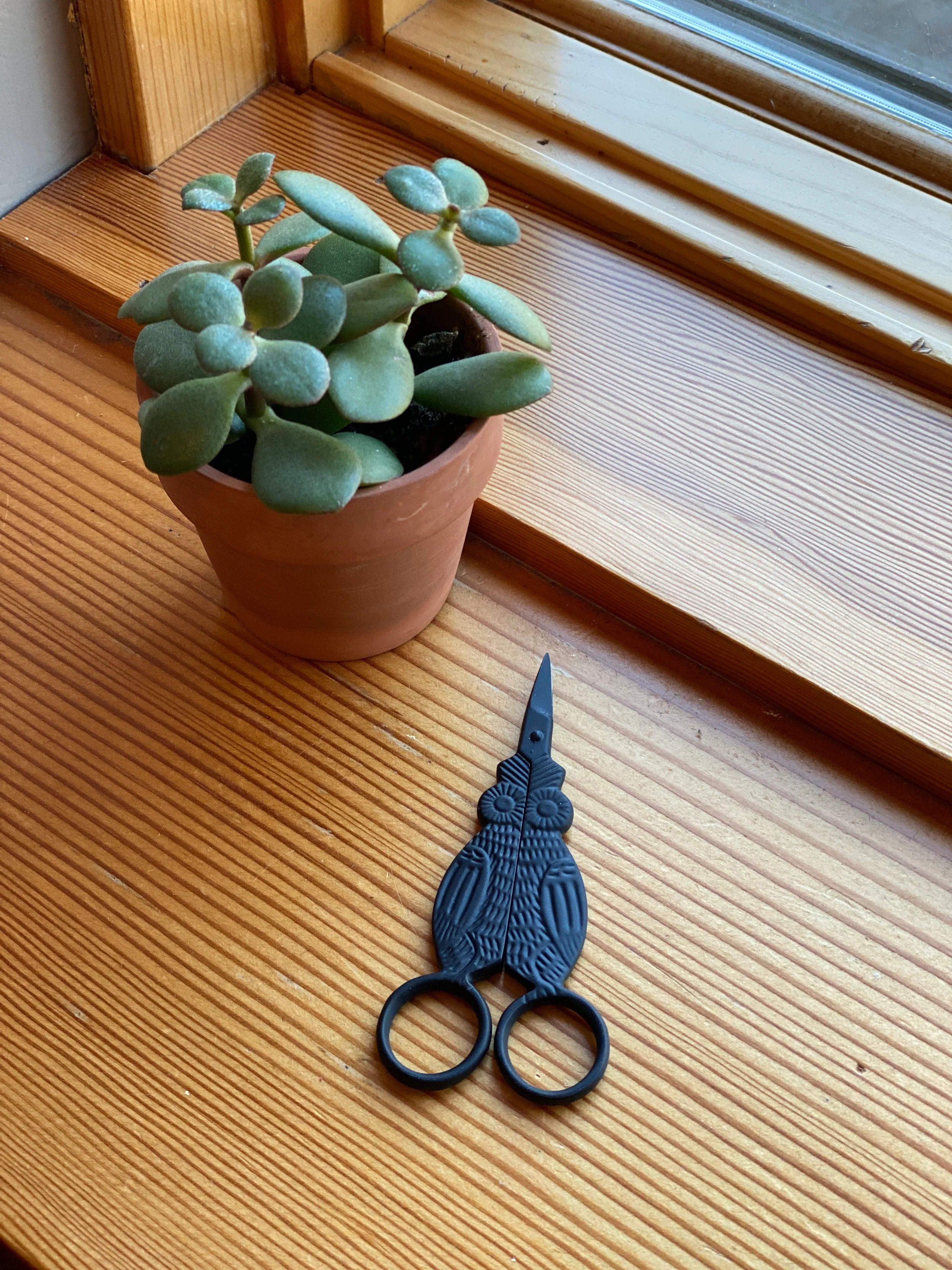 Scissors - Image 12