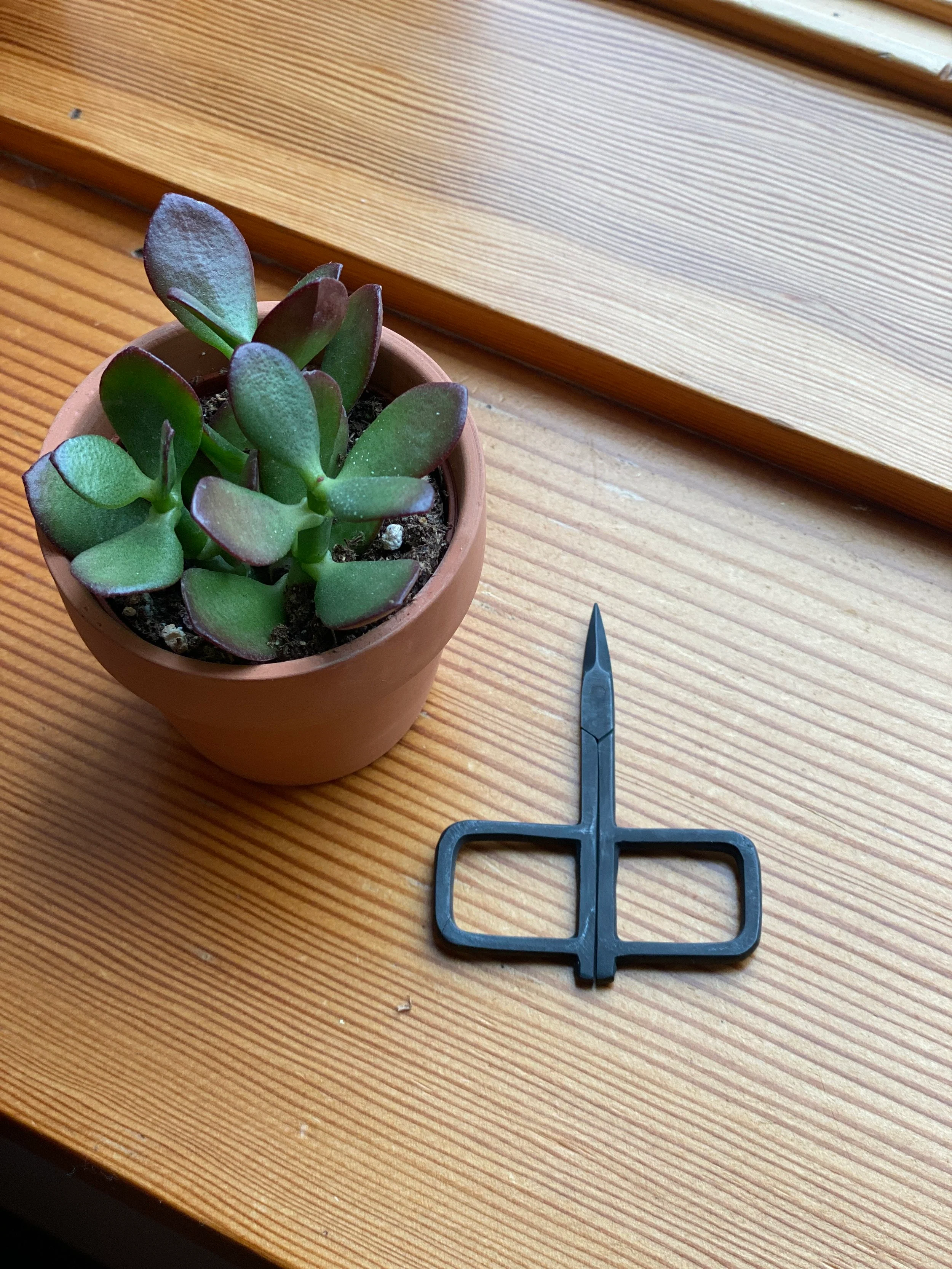 Scissors - Image 4