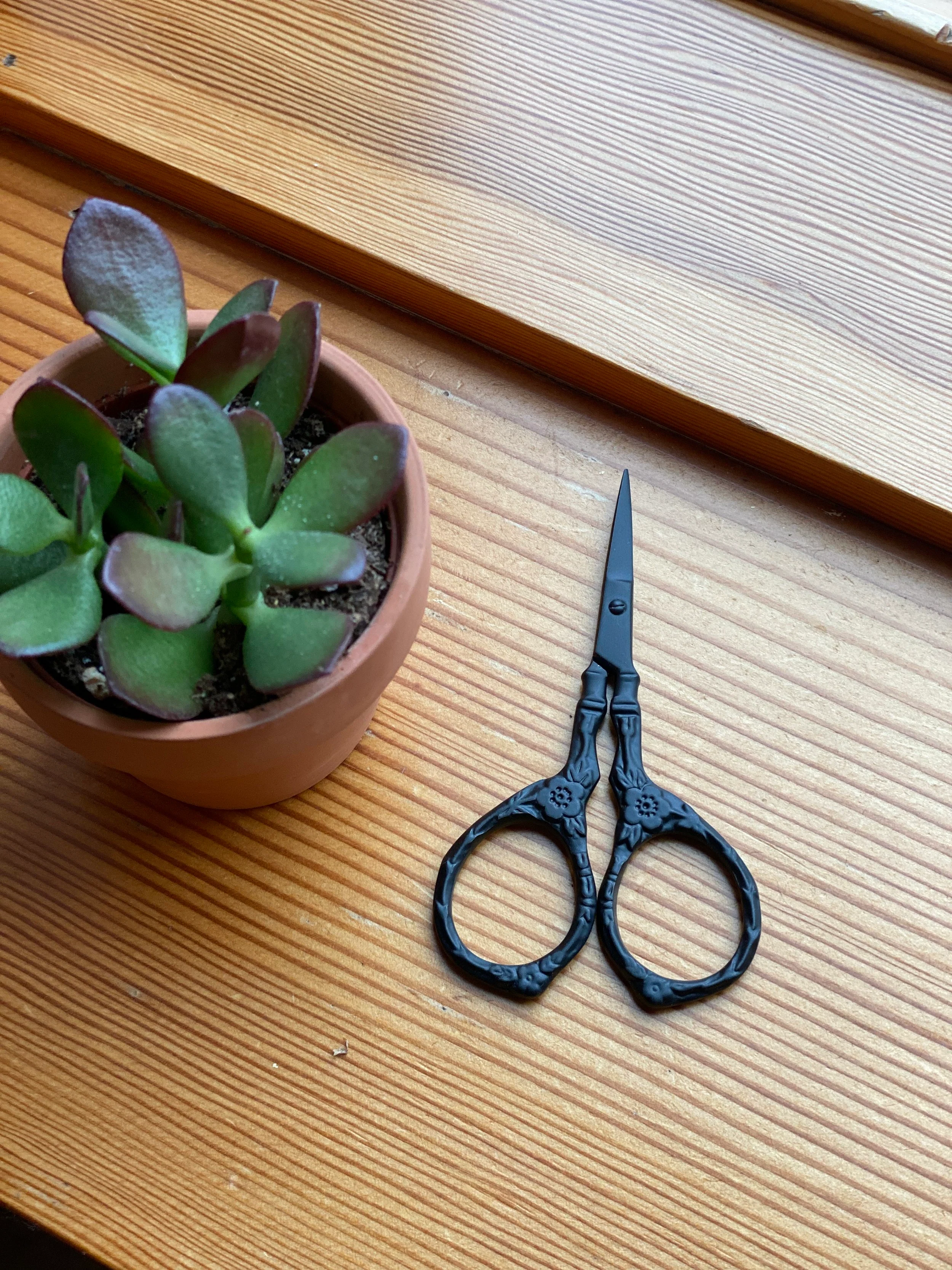 Scissors - Image 5