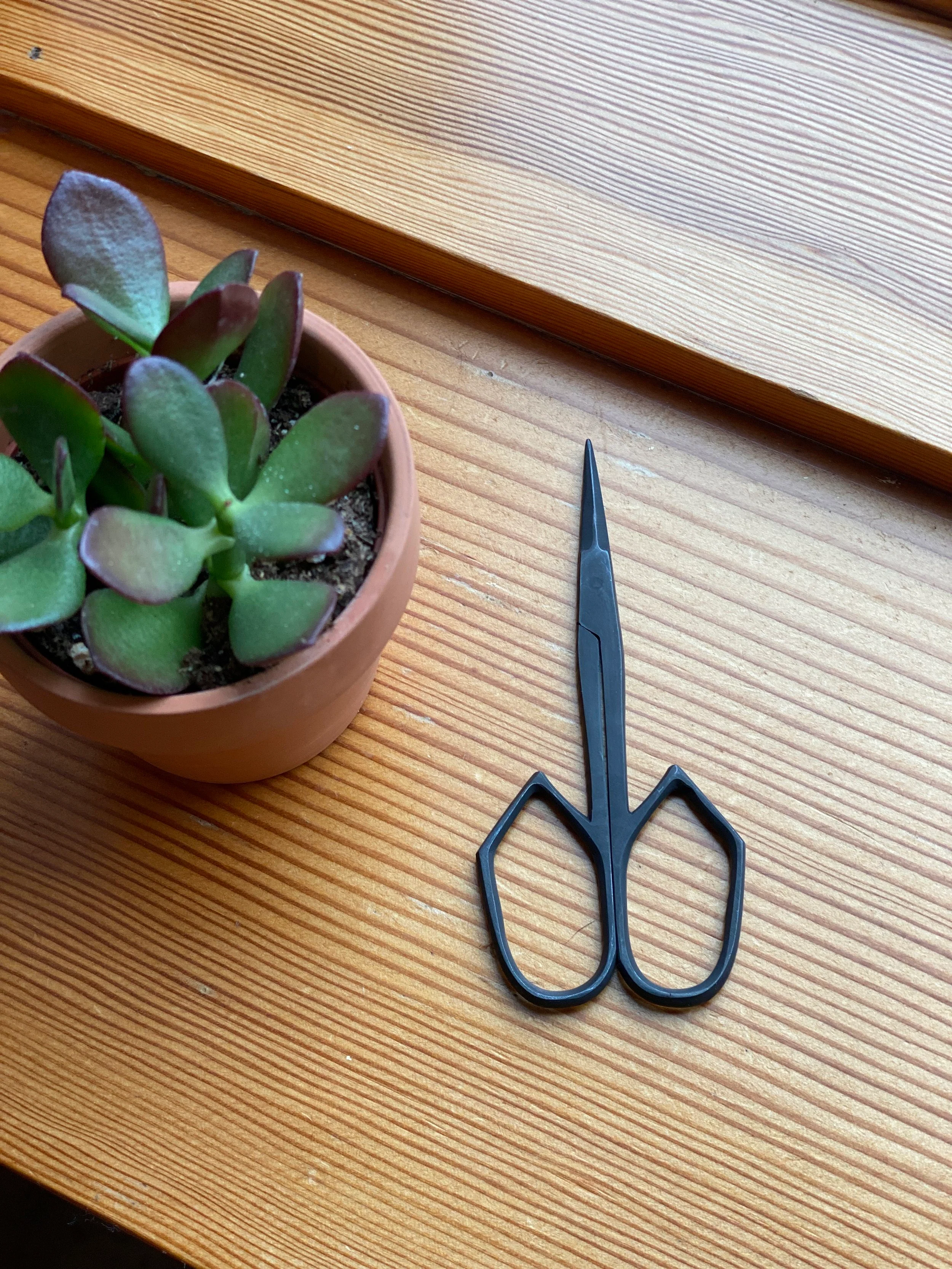 Scissors - Image 7