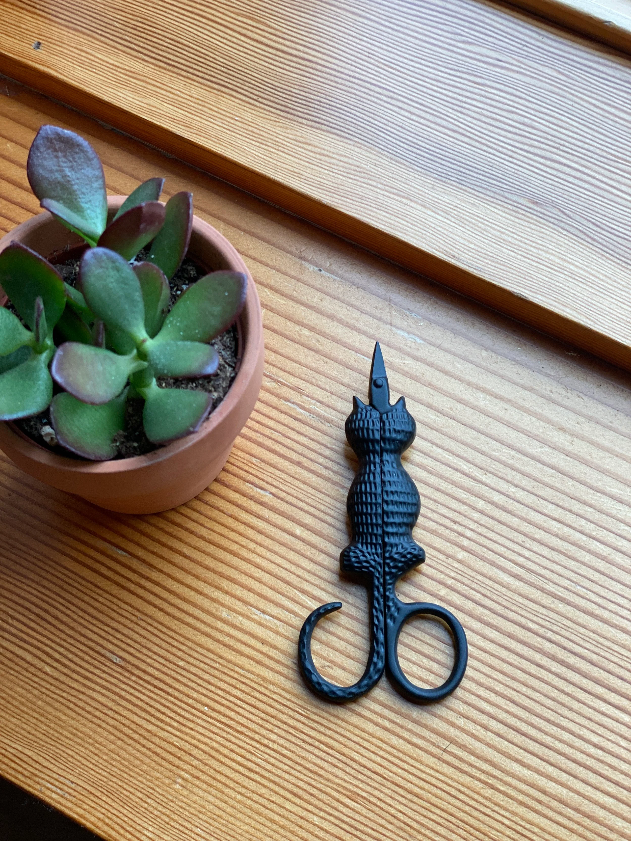 Scissors - Image 8