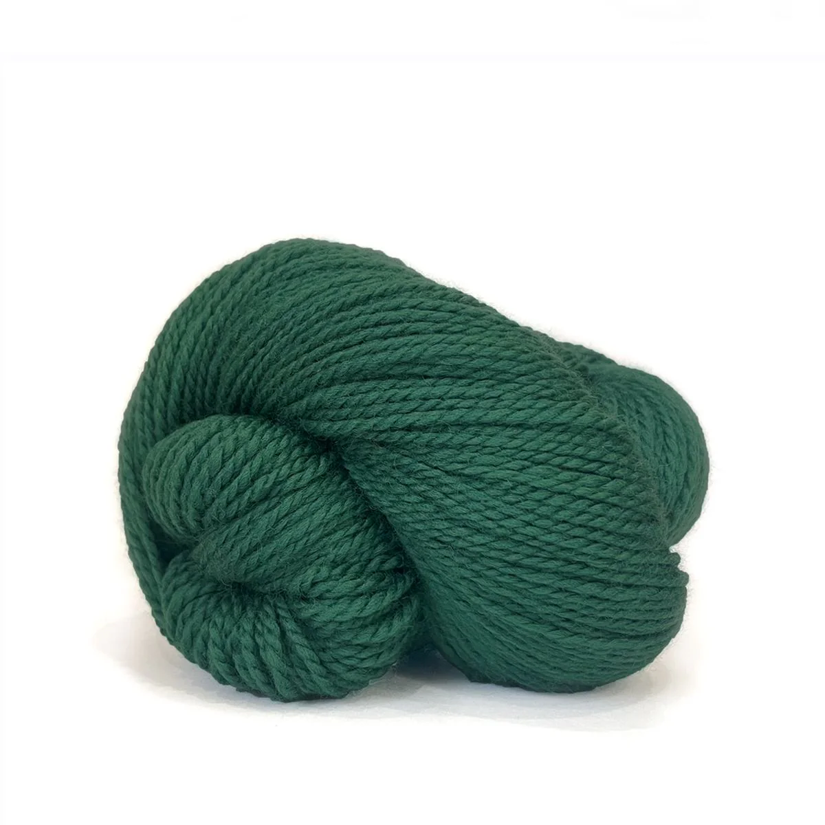 Scout - Image 11
