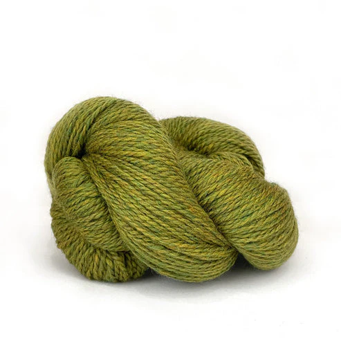 Scout - Image 12