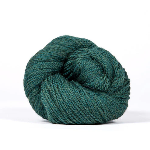 Scout - Image 15