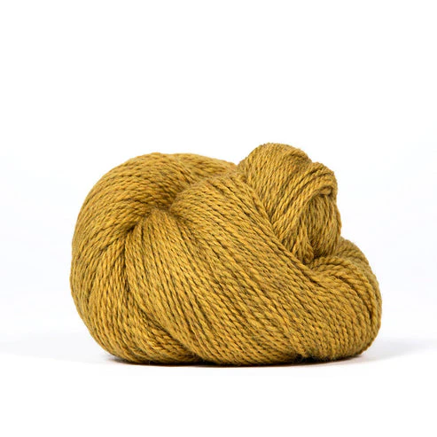 Scout - Image 31
