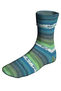 Super Soxx Color 4-ply - Image 13