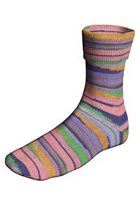 Super Soxx Color 4-ply - Image 9